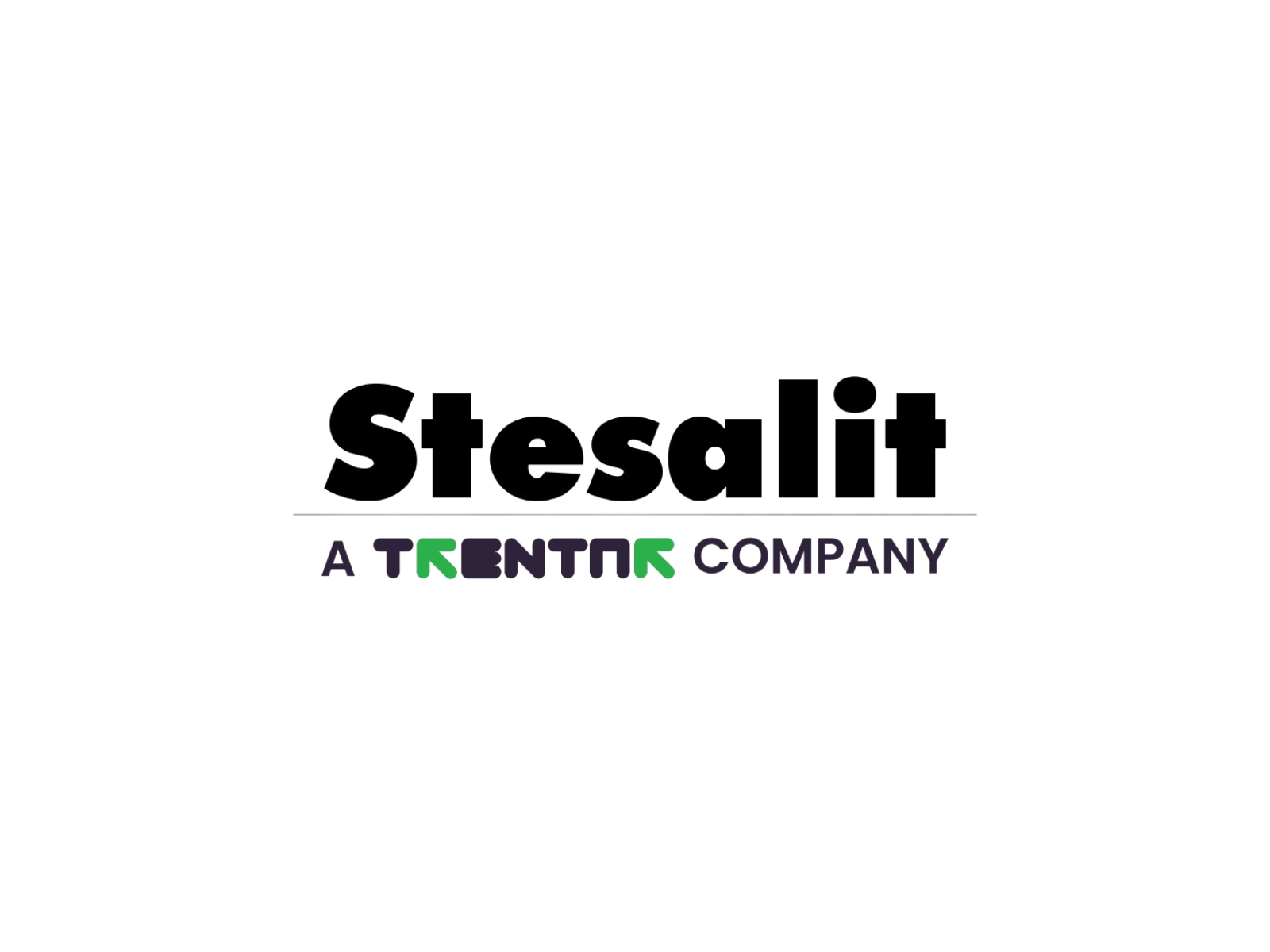 Logo of Stesalit Systems