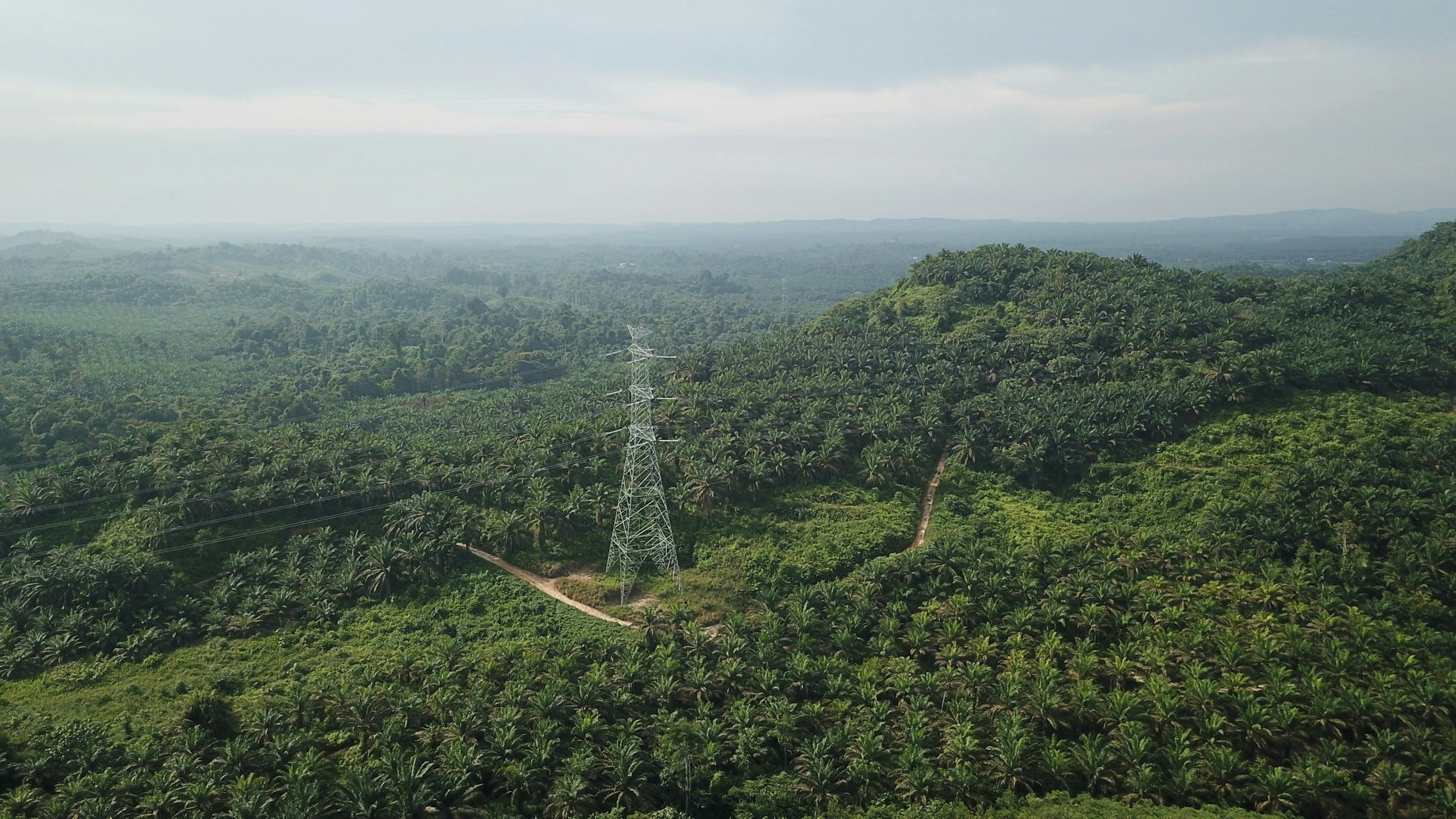 Transmission tower in tropical forest with the line corridor cut through the canopy