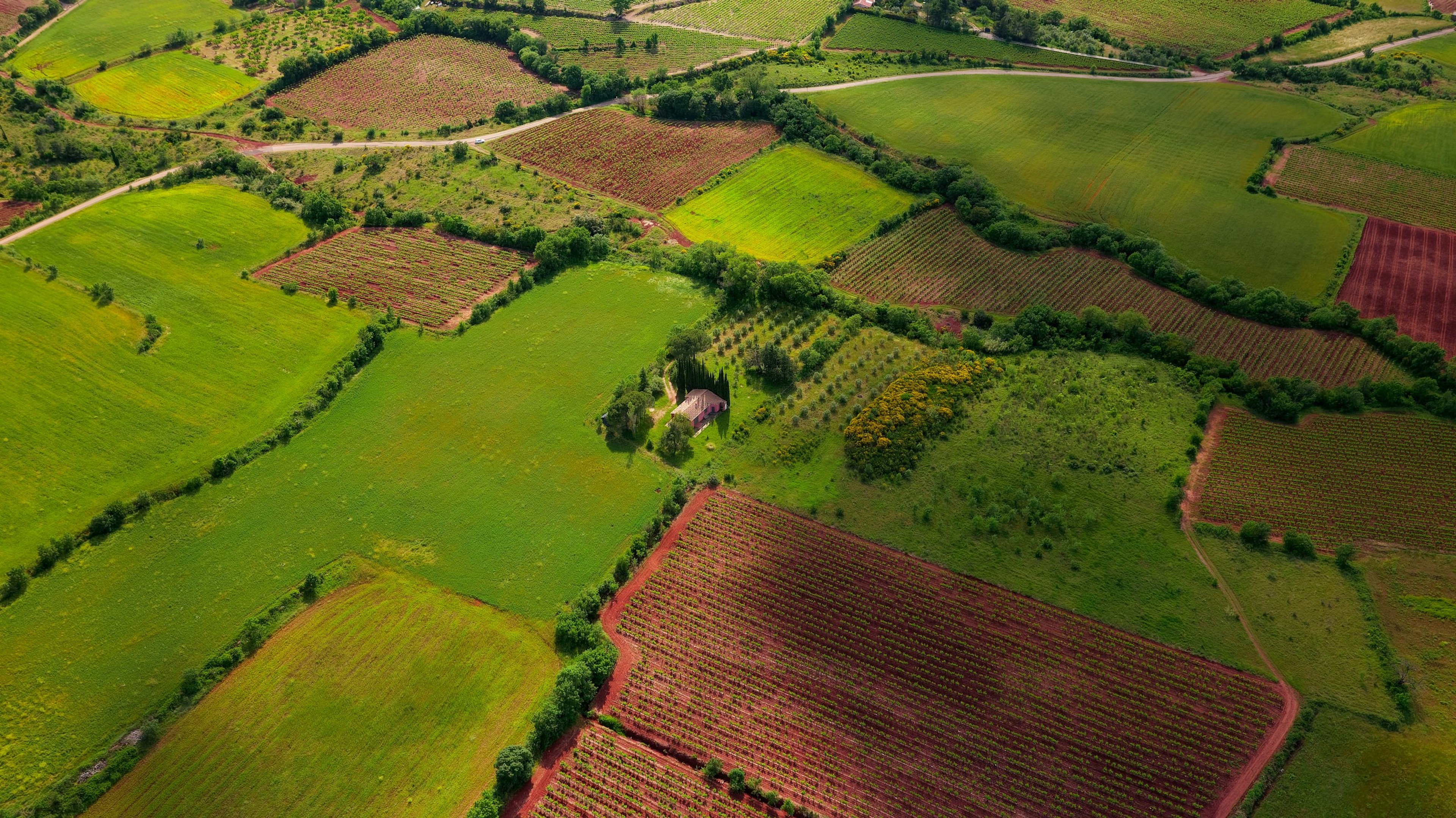 Arable parcels in greens and reds seen from the air