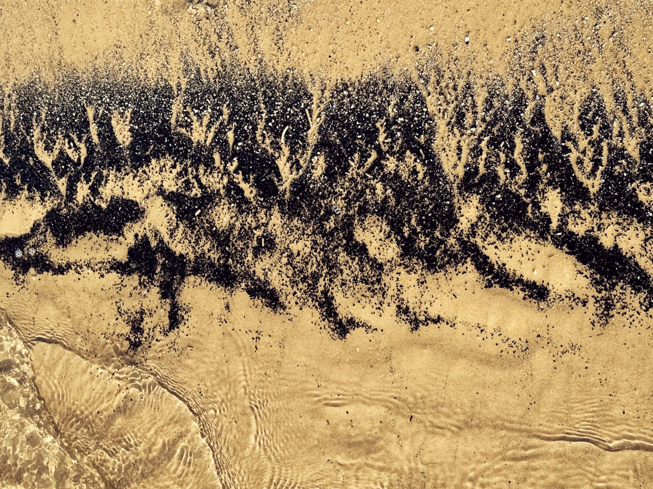 Branching drainage network across pale ground, seen from directly above