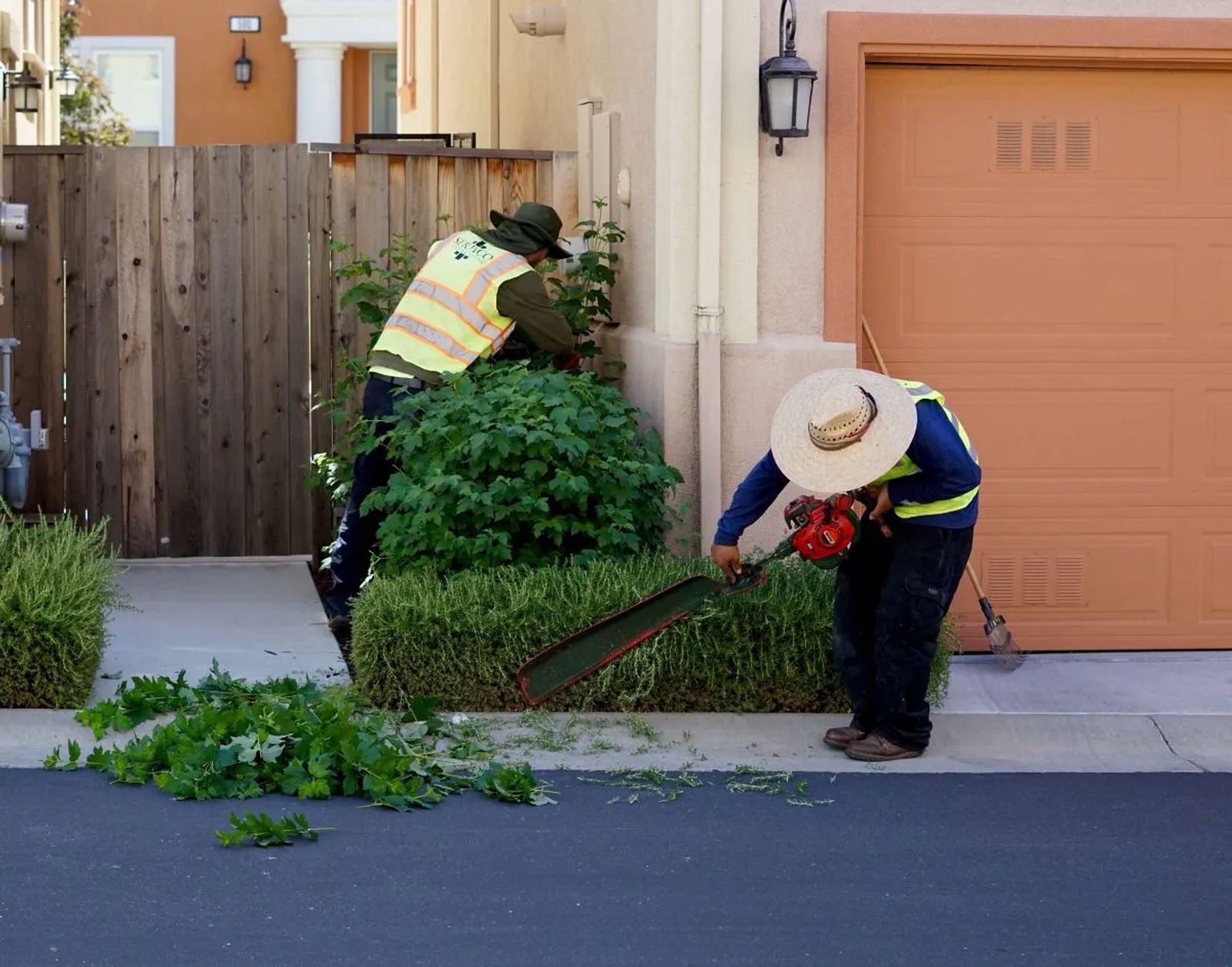 Why Your Hedge Trimming Technique Is Ruining Your Landscape