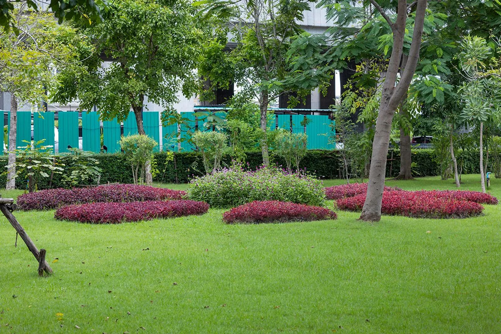 Complete Guide to Lawn Overseeding: Transform Your Thin Grass Into a Thick, Green Paradise