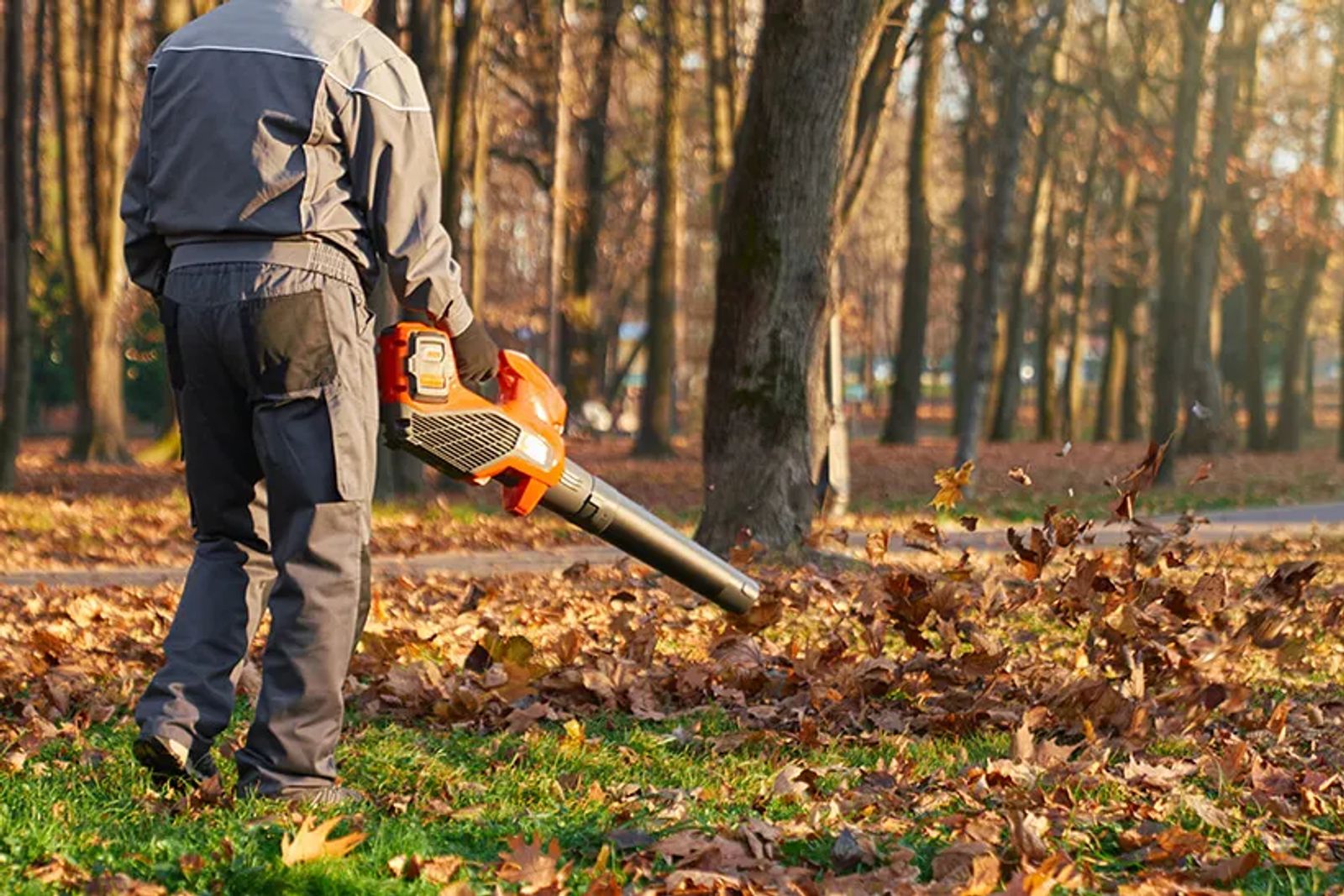7 Reasons Why Professional Leaf Removal in Knoxville Saves Your Lawn