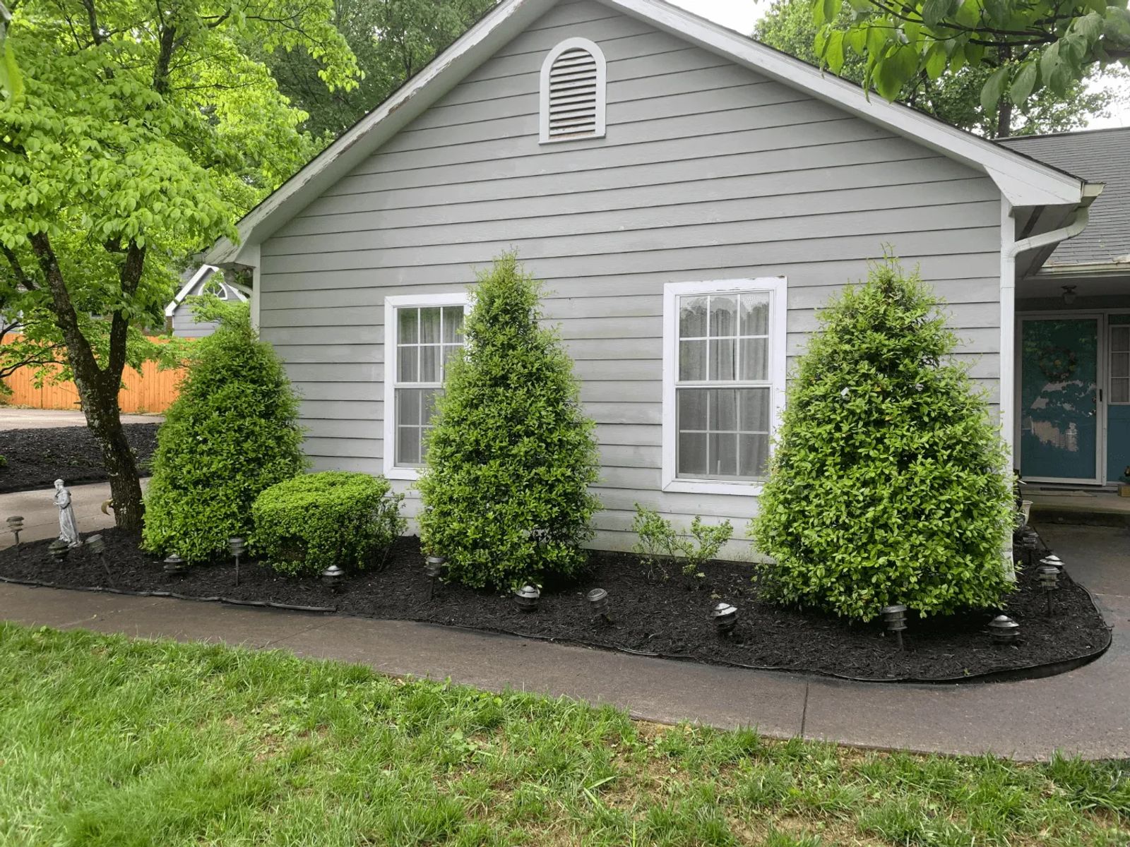 Hedge Trimming 101: Techniques and Tips for Perfectly Sculpted Hedges