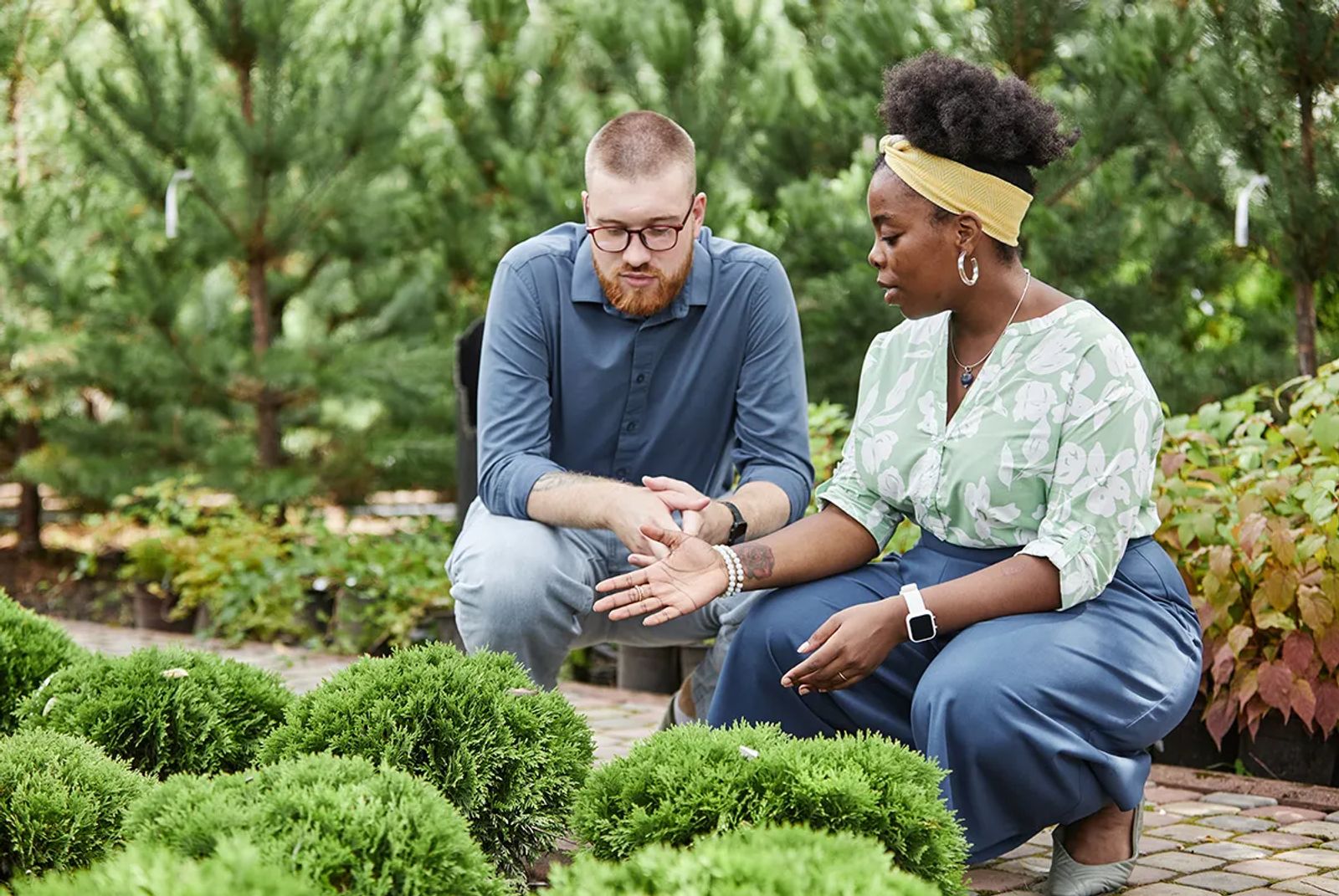 Low-Maintenance Landscaping Tips for Busy Tennessee Homeowners