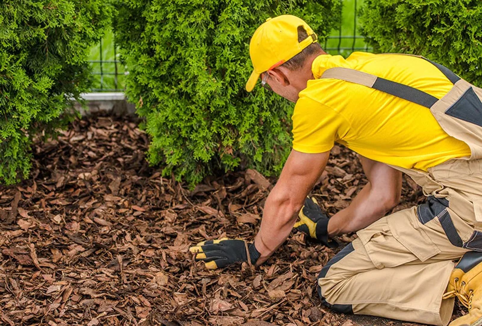 5 Game-Changing Secrets About Mulch Installation in Knoxville (That Nobody Tells You!)