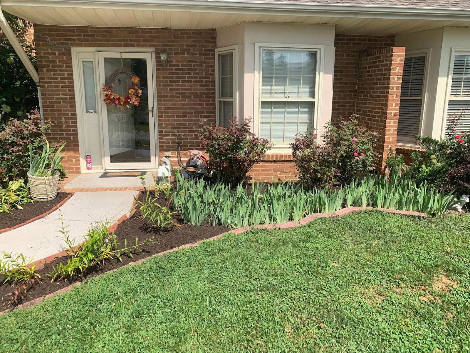 Tall Fescue vs. Bermuda: Which Grass Type Actually Wins in Knoxville?