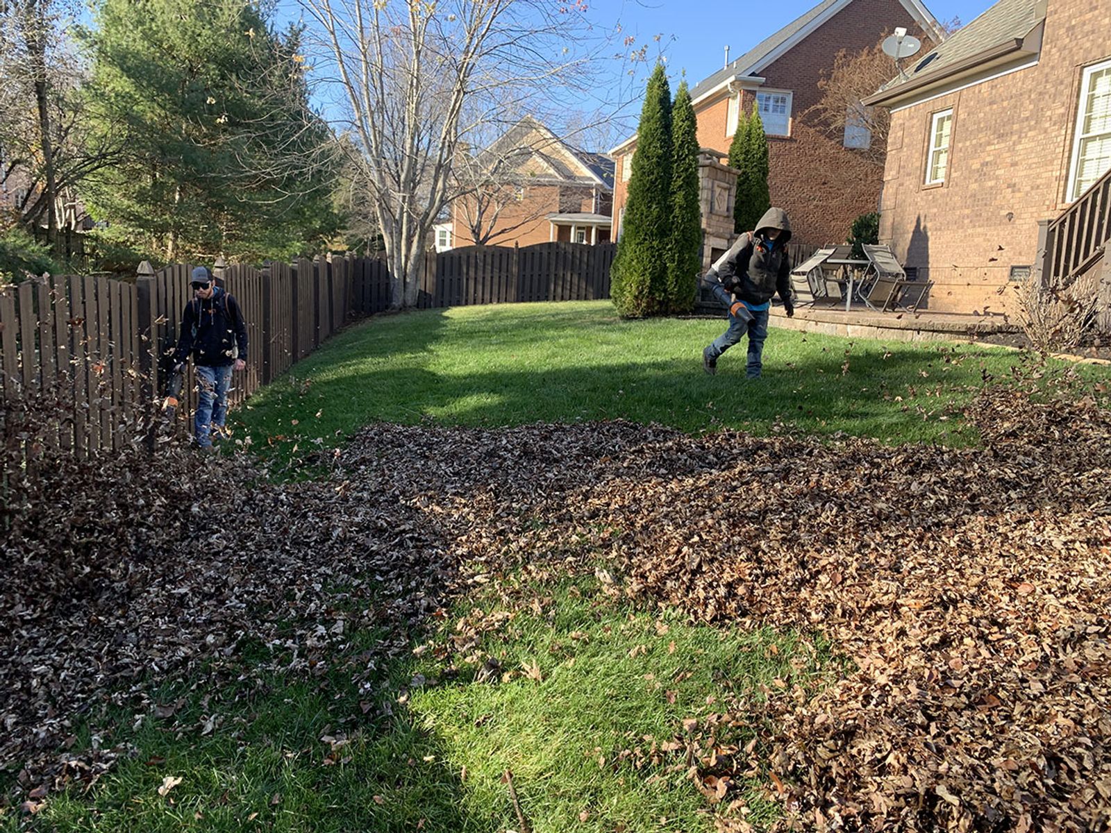 Leaf Removal