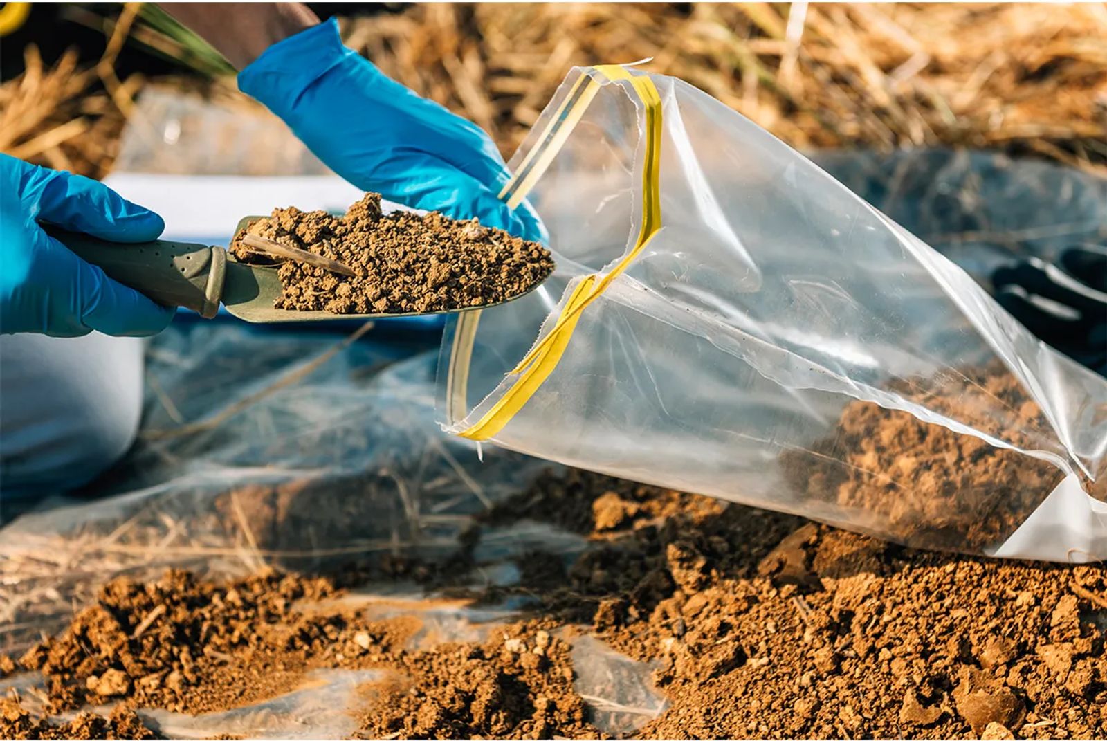 The Importance of Soil Testing: Understanding Your Lawn's Nutrient Needs