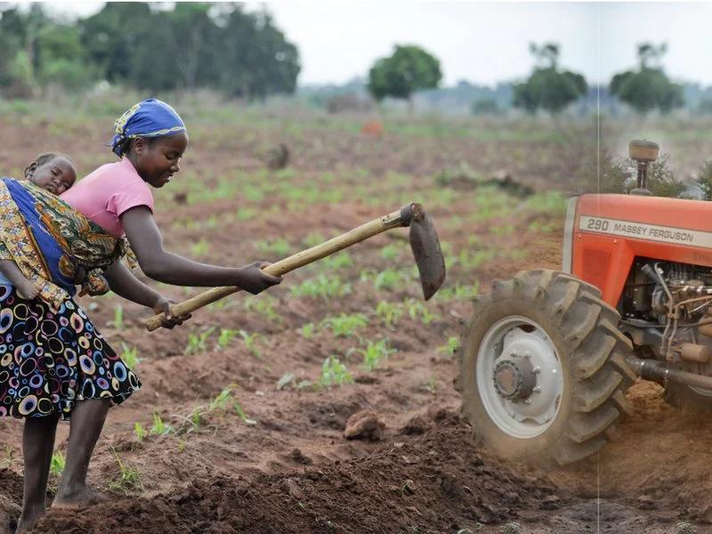 The Agri-Ibom Project