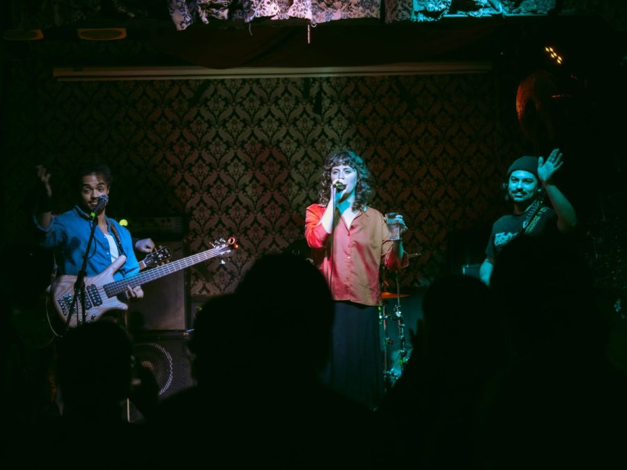 Mutual Friends @ The Last Chance photo 7