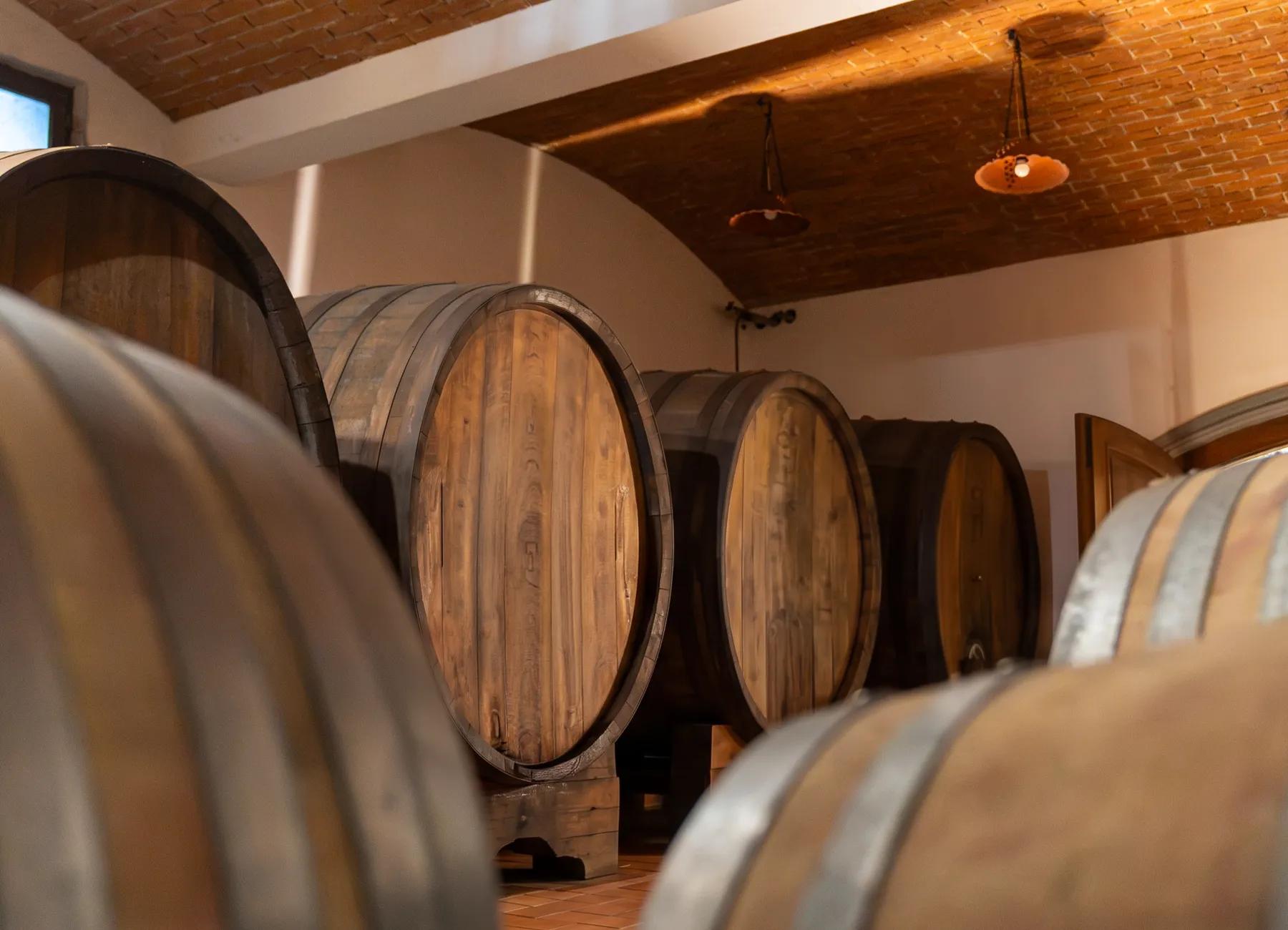 Large oak barrels under the brick ceiling of the cellar where Jarkovič wines are aged