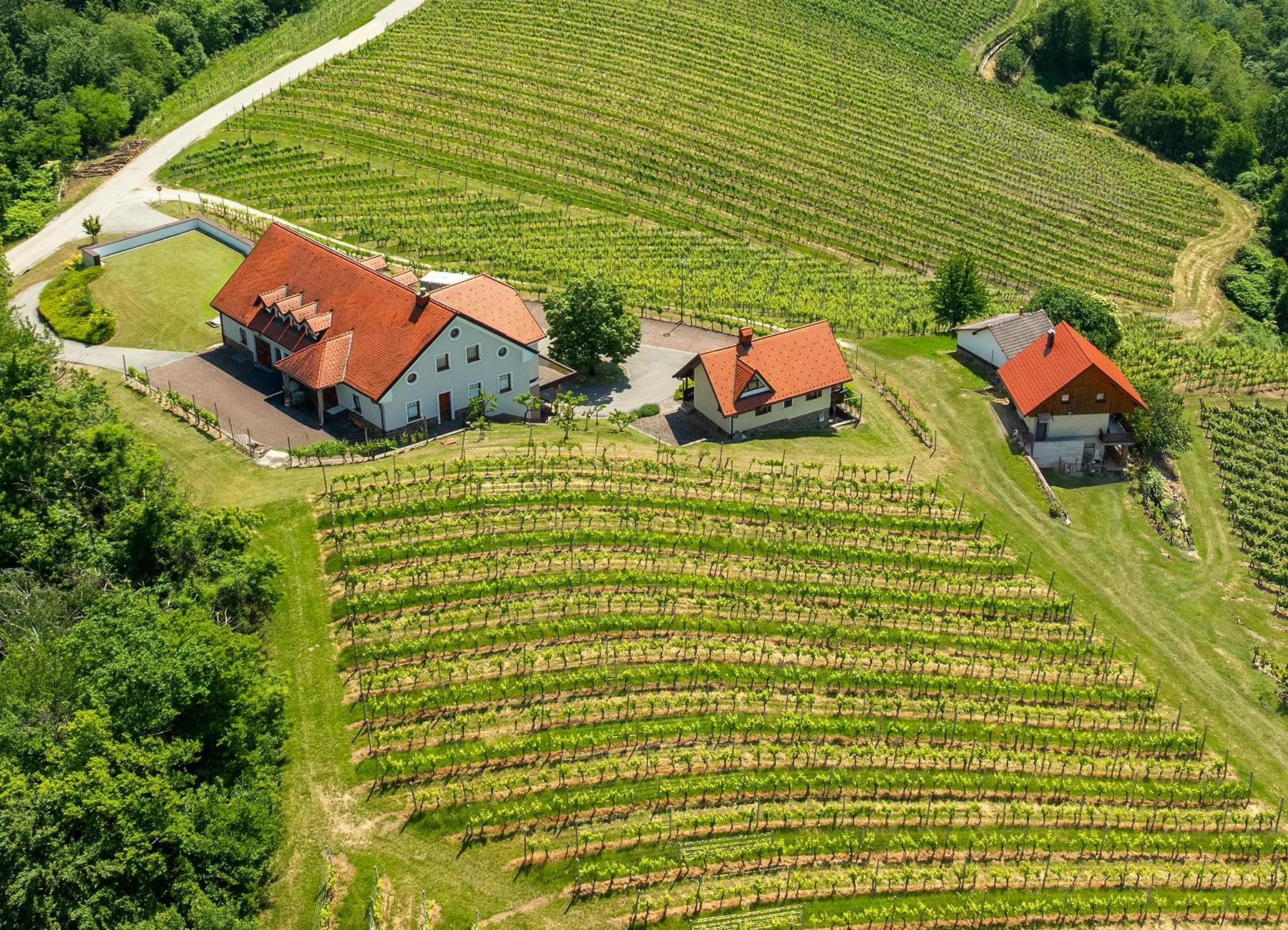 Aerial view of the Jarkovič farmhouse and outbuildings among the Gadova peč vineyards