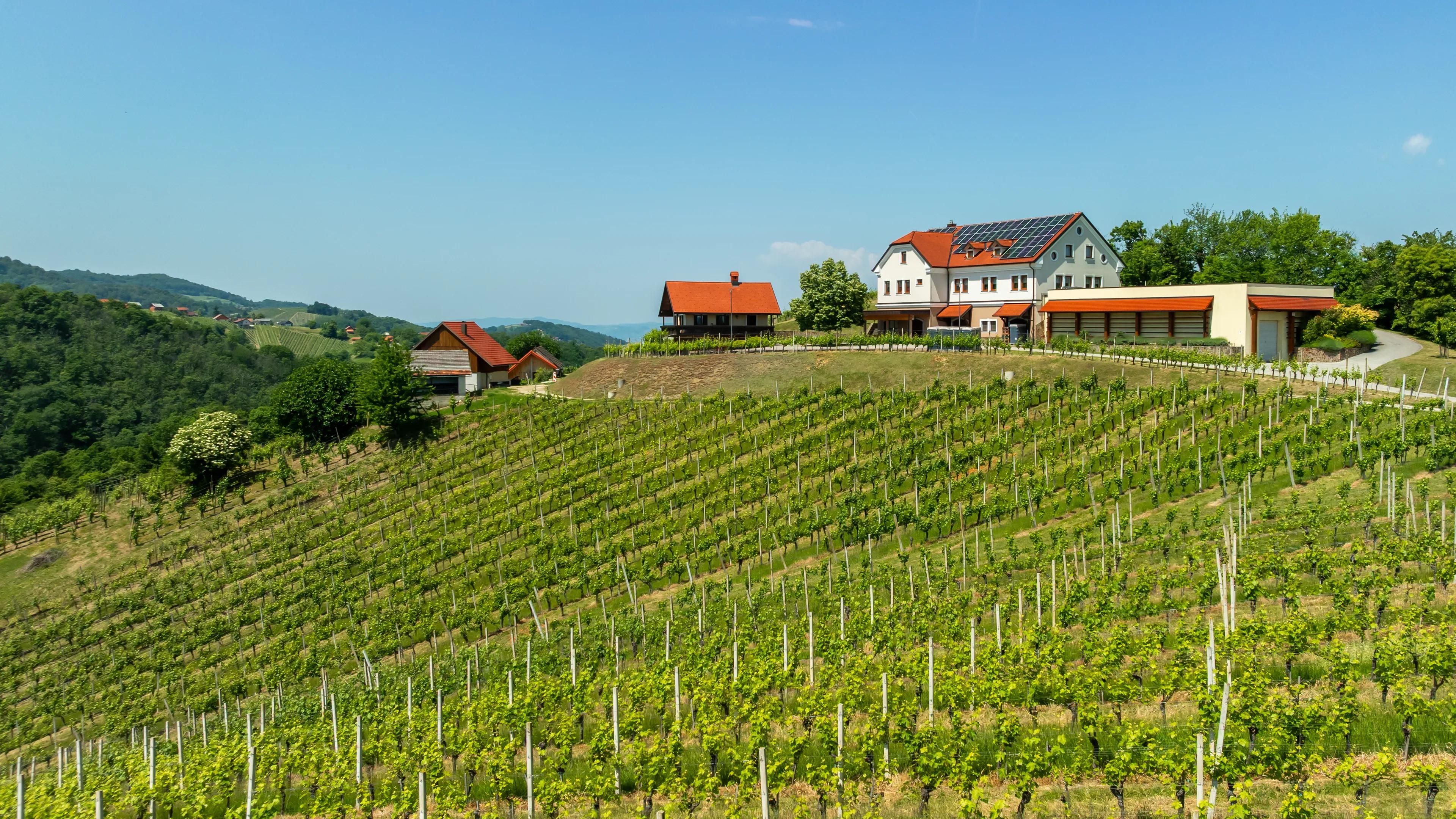 Domačija Jarkovič na vrhu vinograda na Vinjem Vrhu nad Gadovo pečjo