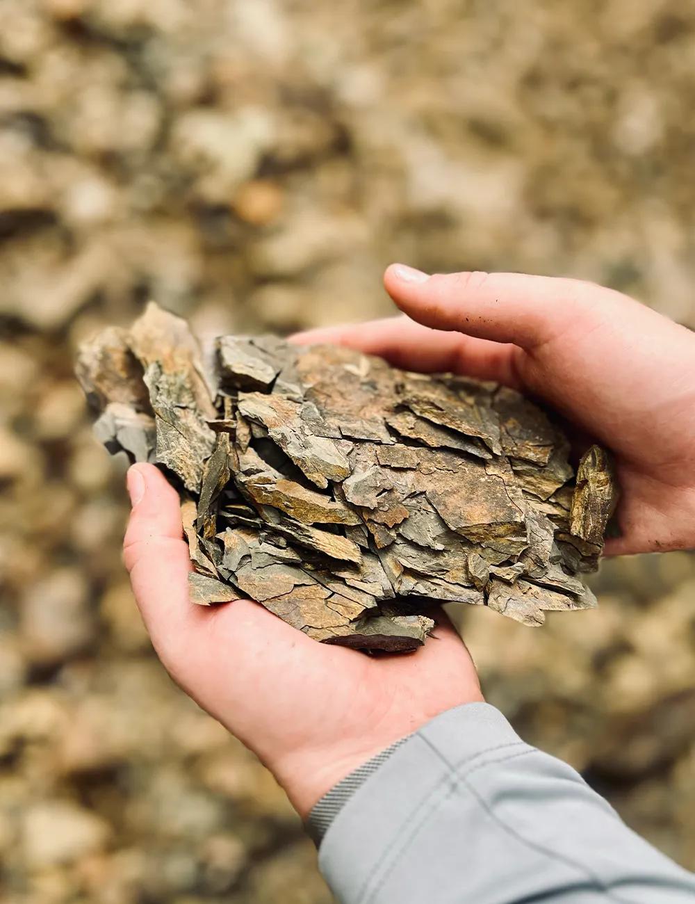 A piece of marl in the palm of a hand – the rock the Gadova peč vines grow on