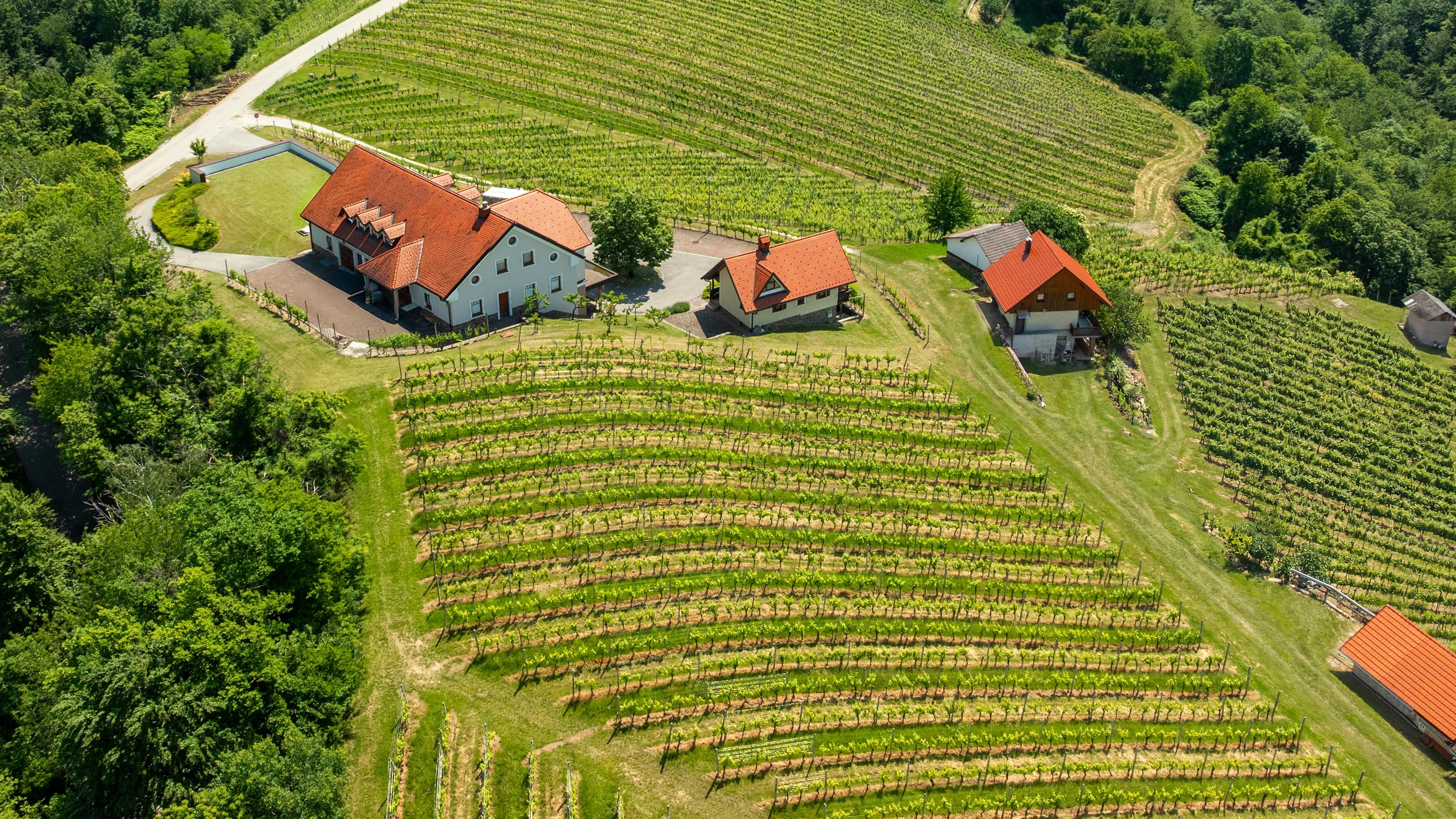 Posestvo Jarkovič iz zraka – domačija in zidanice, obdane z vinogradi Gadove peči