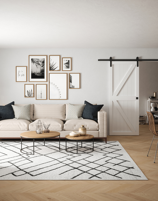 camden framed ledged and braced door in living room 2