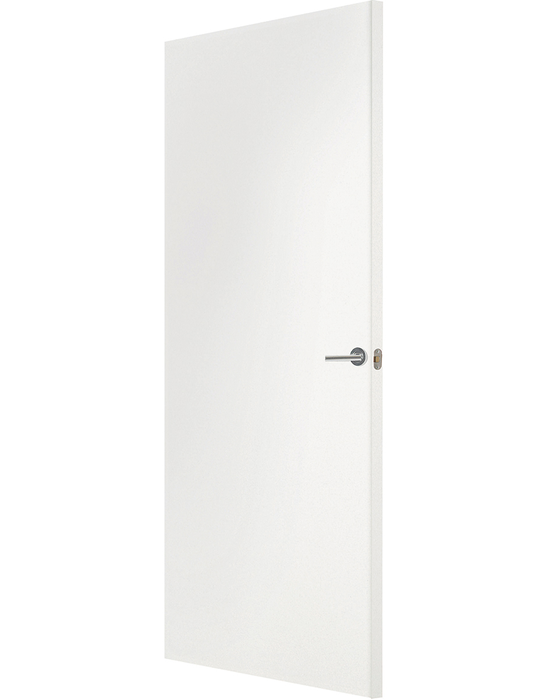 paint grade plus hollow core primed door