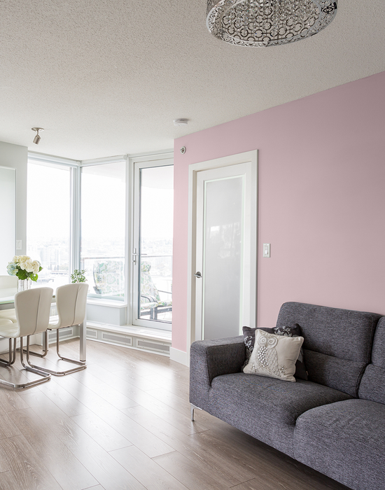 kenmore white primed etch glass clear border in living room