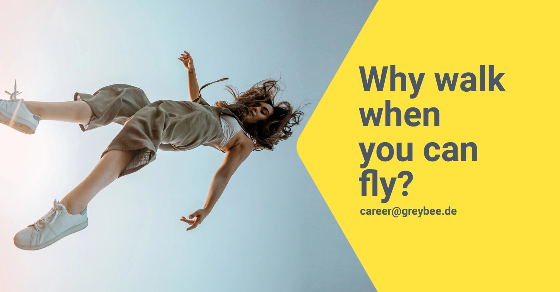 Employer-branding key visual: a dancer suspended mid-air beside the line “Why walk when you can fly?”