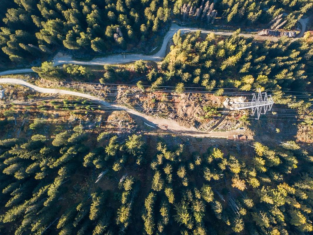 Bildet viser linjerydding gjort i skog