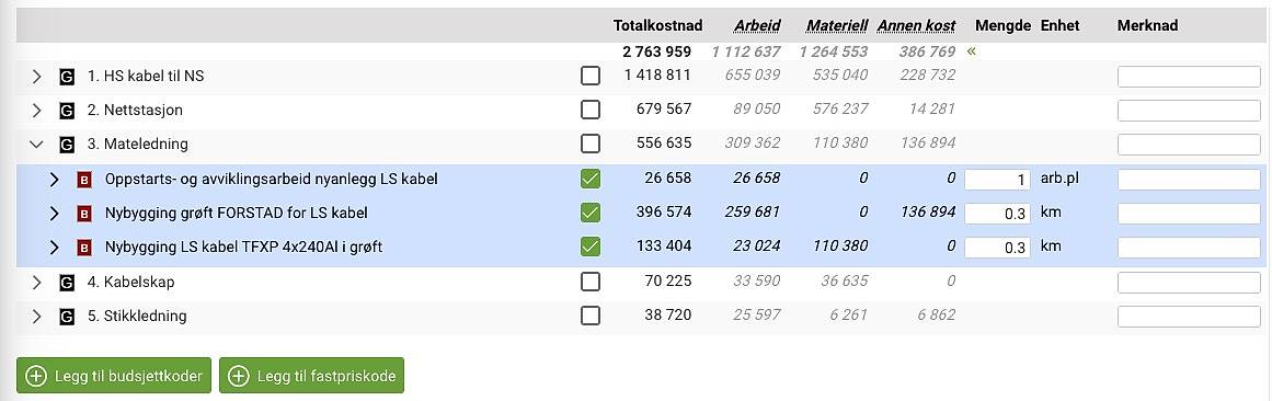 Skjermbilde viser budsjettkoder for mateleding