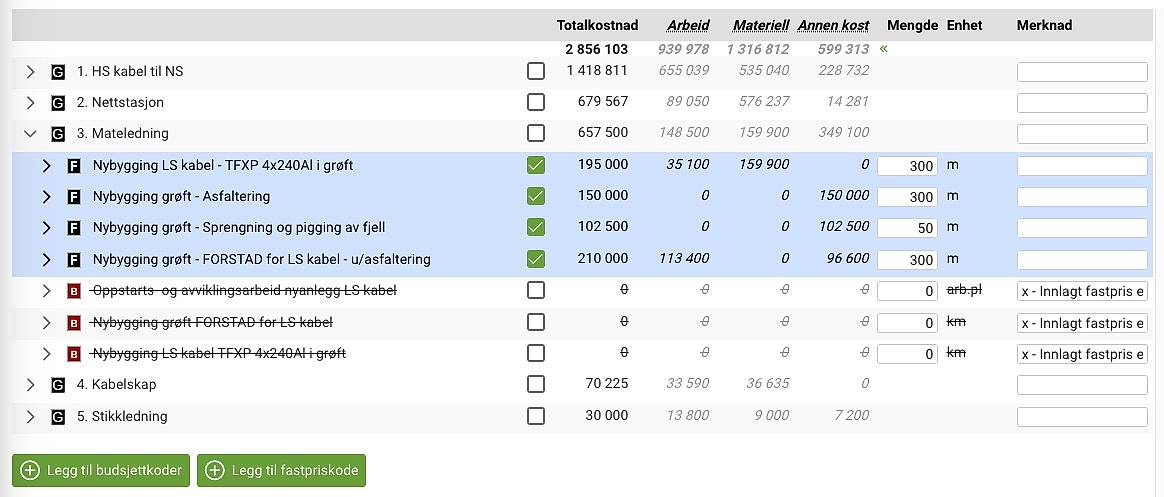 Skjermbildet viser fastpriskoder med budsjettkoder som opsjon