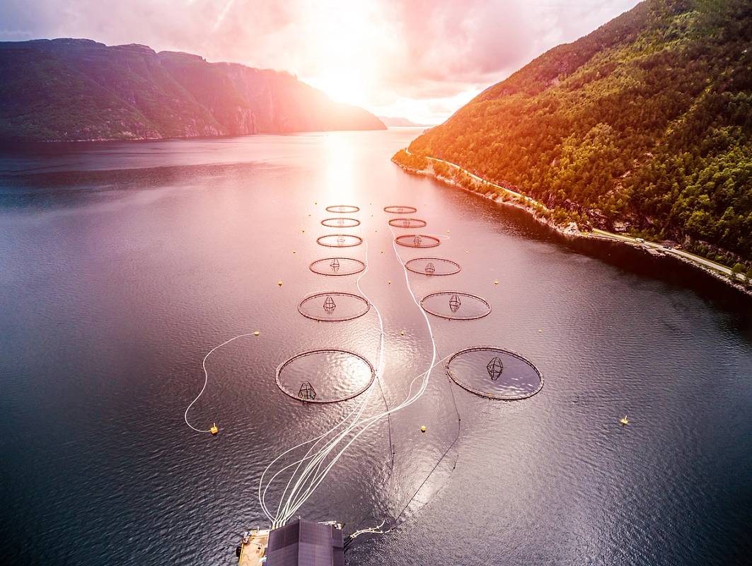 Bilde viser et fiskeoppdrettsanlegg