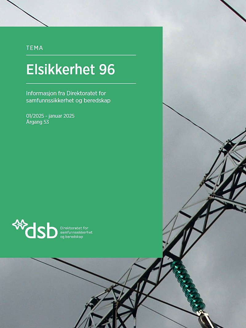 Bilde av fremsiden av Elsikkerhet 96