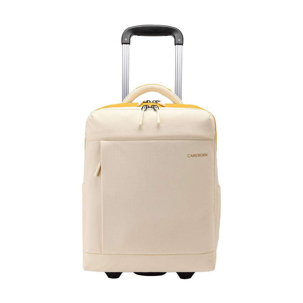 22L Convertible Rolling Backpack Carry-on Luggage for Business & travel