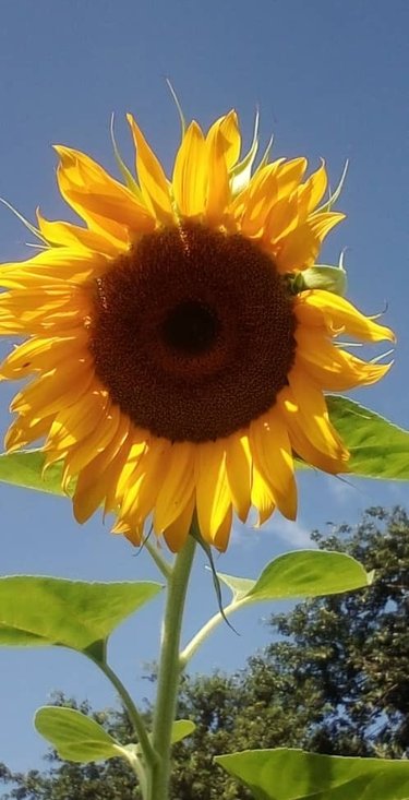 c92ecea3-8091-4ae2-a3ec-a77d696b4381