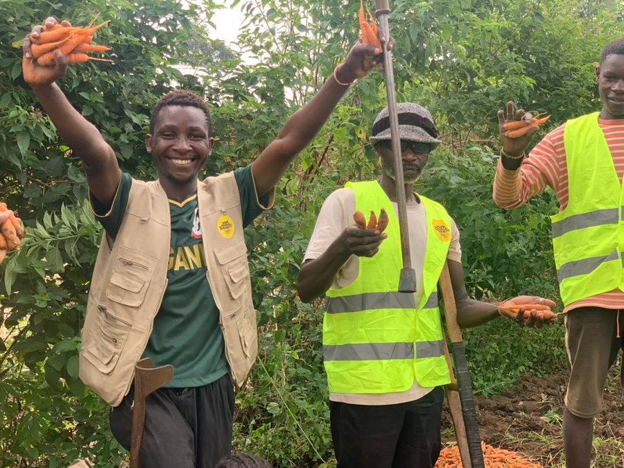 c209b93d-dc05-4572-9f9b-81f02ac12d65