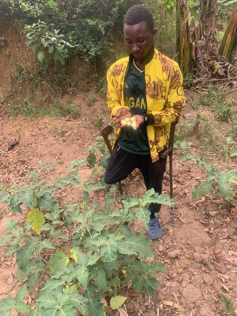 c3526600-53e3-4b56-84bd-cc7e6b6ebfad