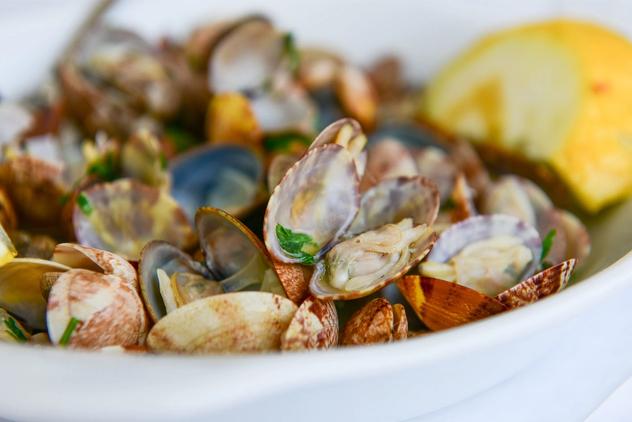 Along the coast bike tour - clams