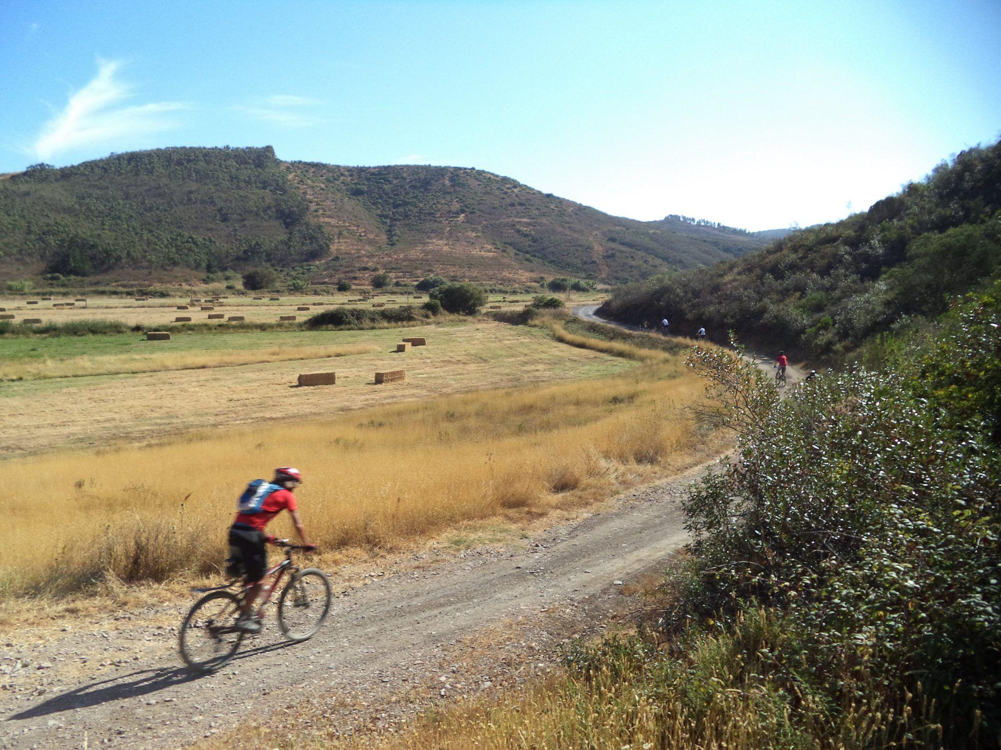 Wild Algarve - rural road