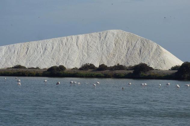 Wild Algarve - salt