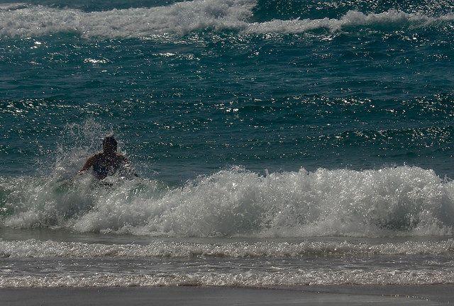 Wild Algarve - ocean swim