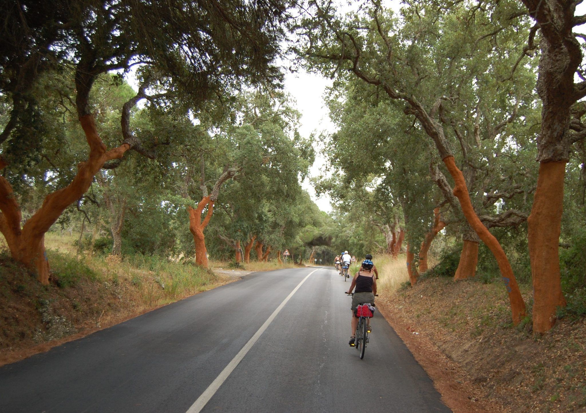 Along the Coast Bike Tour - road
