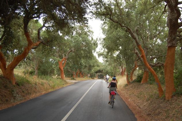 Along the Coast Bike Tour - road