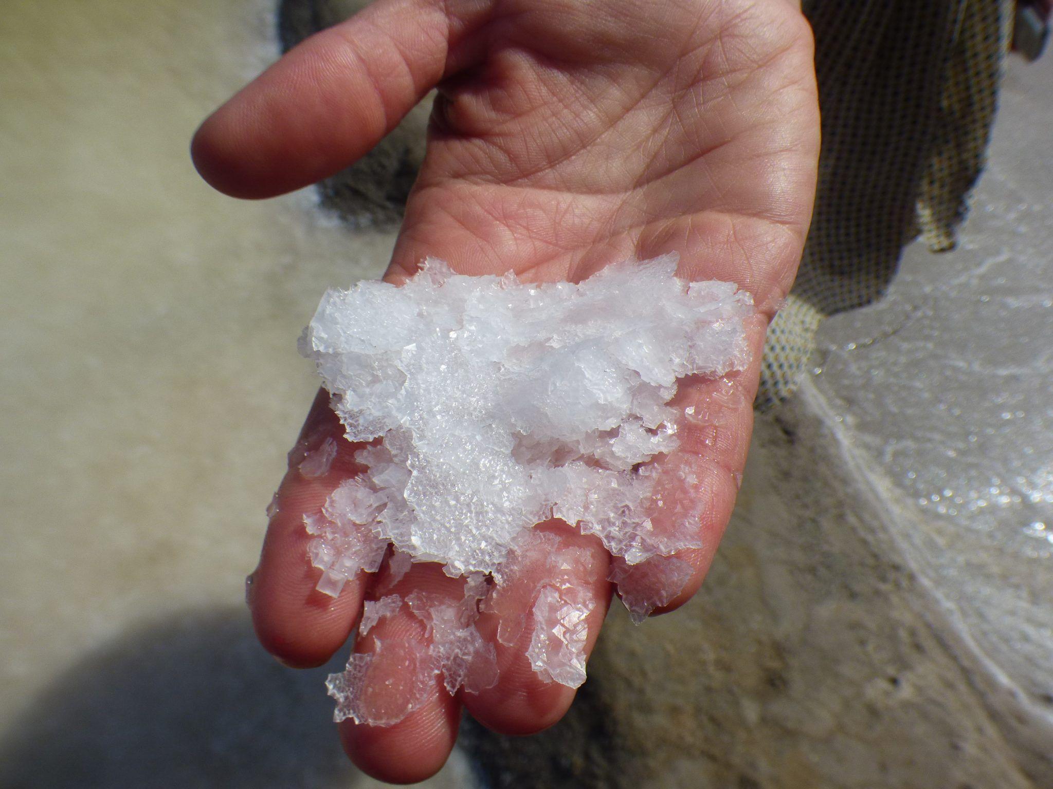 Wild Algarve - saltworks