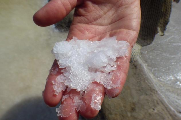 Wild Algarve - saltworks