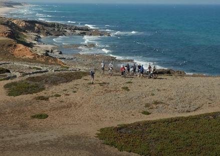 Along the Coast