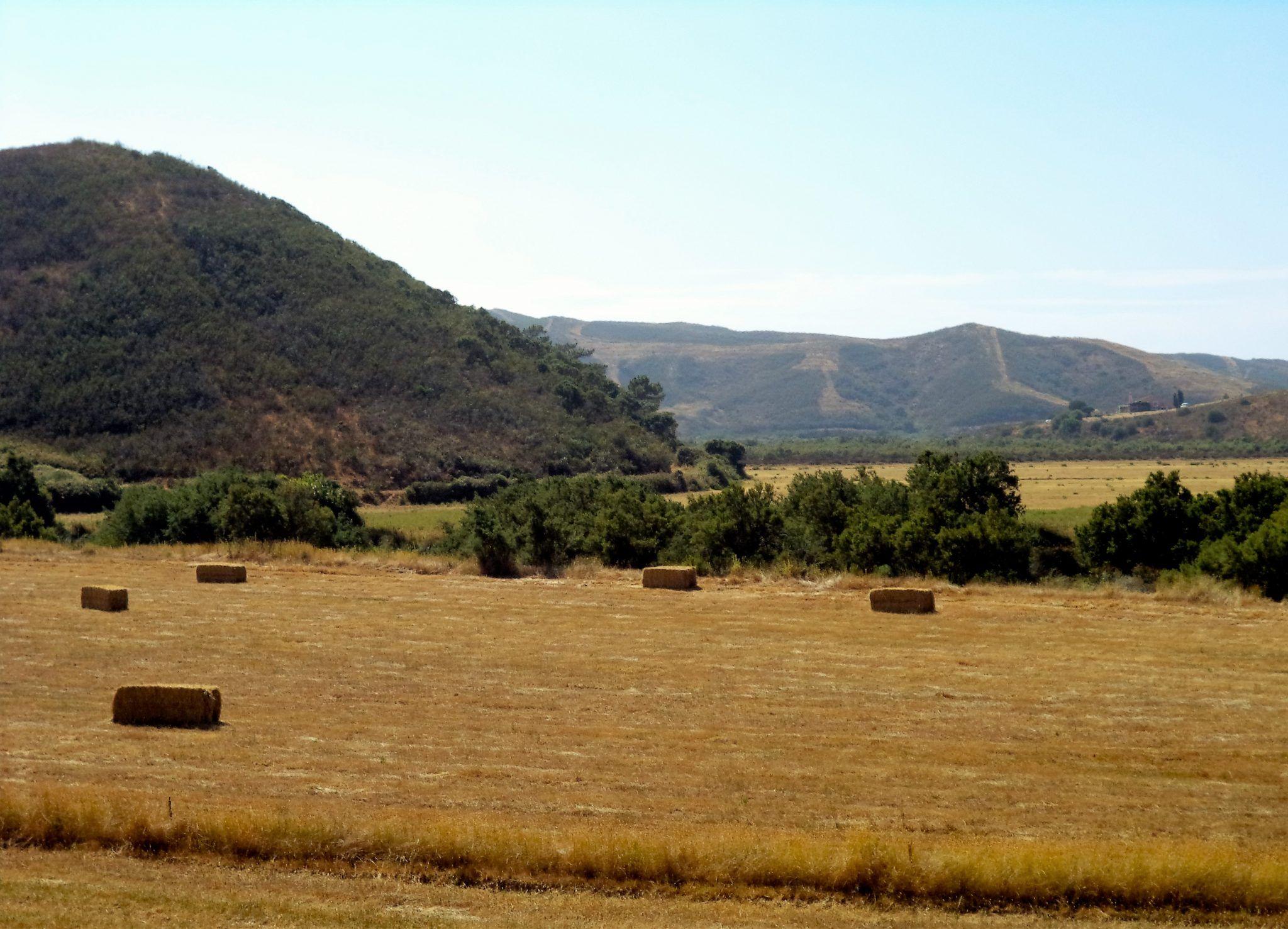 Wild Algarve - plains
