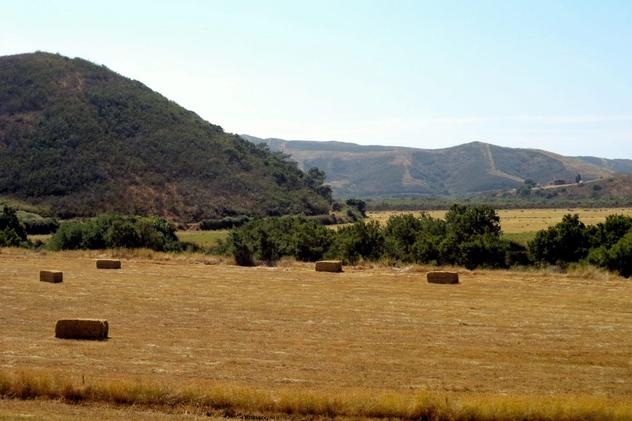 Wild Algarve - plains