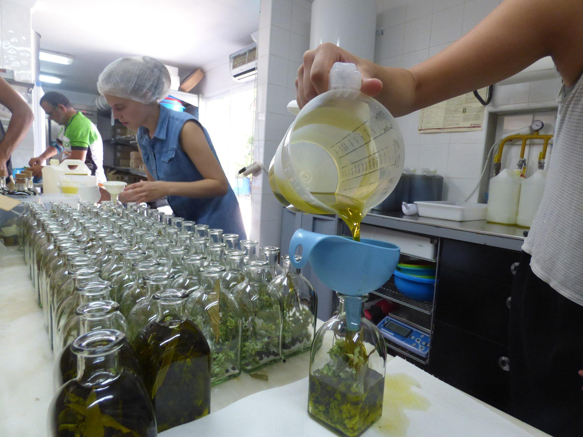 Wild Algarve - olive oil