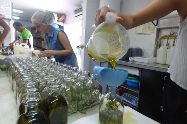 Wild Algarve - olive oil