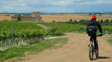 Cyclist exploring Alentejo