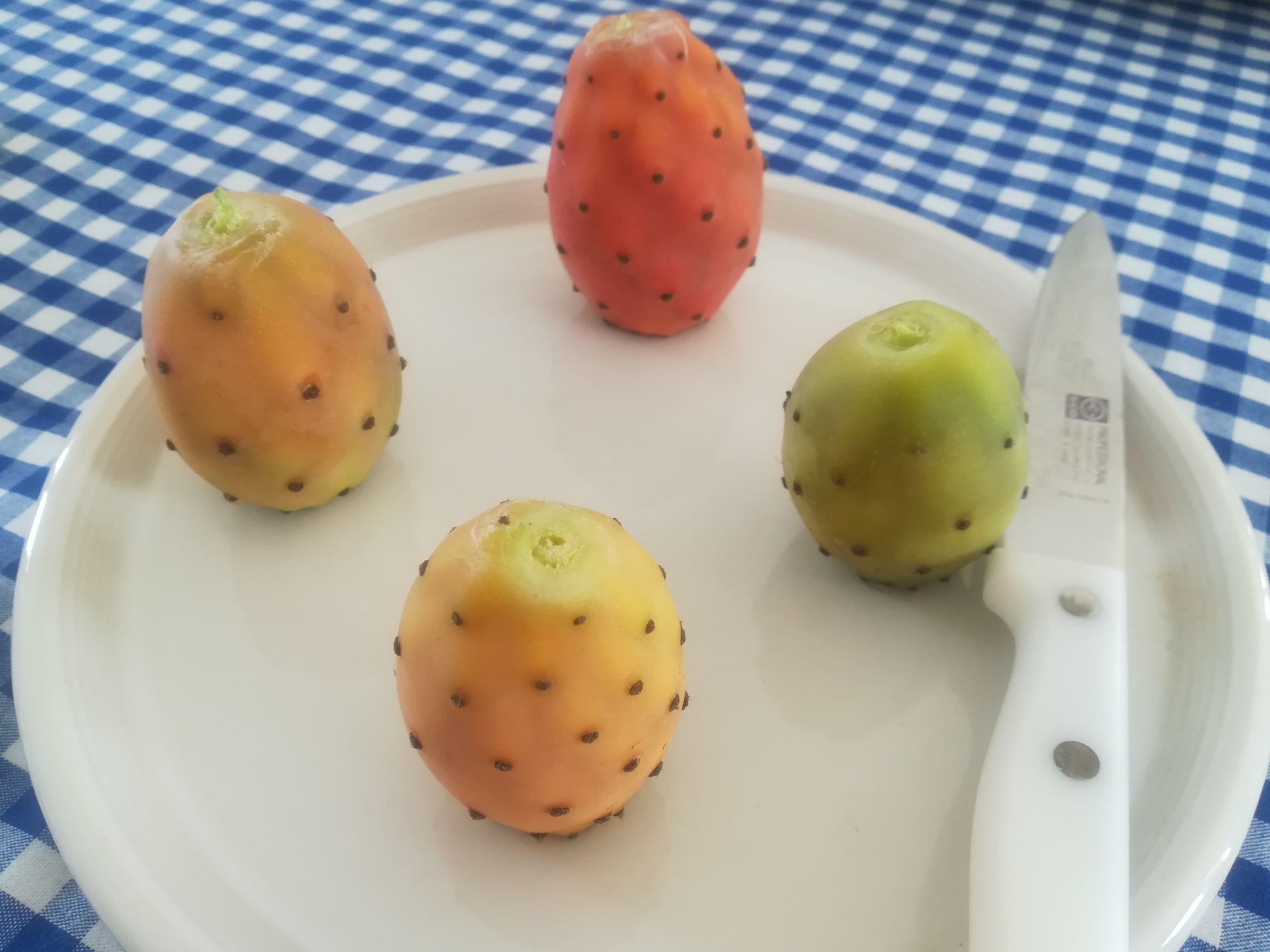 prickly pears