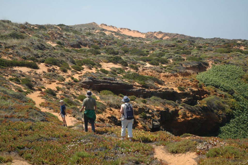 Along the coast bike tour - dune walk