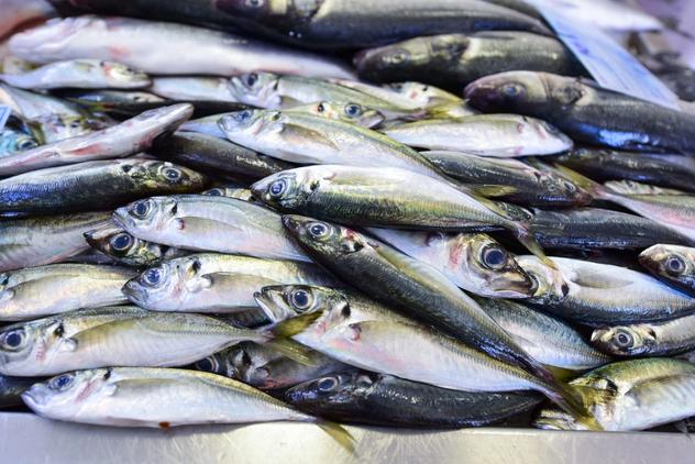 Along the Coast Bike Tour - sardines